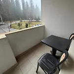 Pm Services Garden *