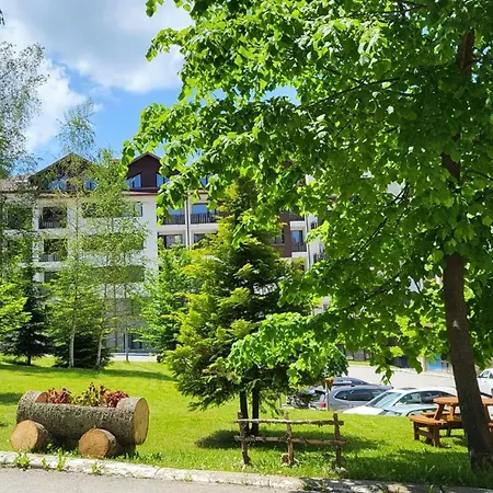 Pm Services Garden *
