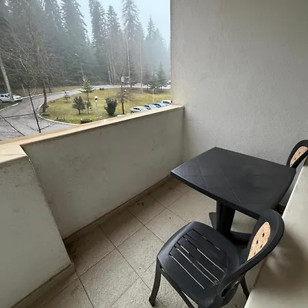 Pm Services Garden *